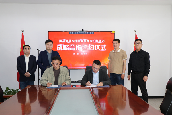 徽盐地产定远项目红星美凯龙阛阓转型新突破