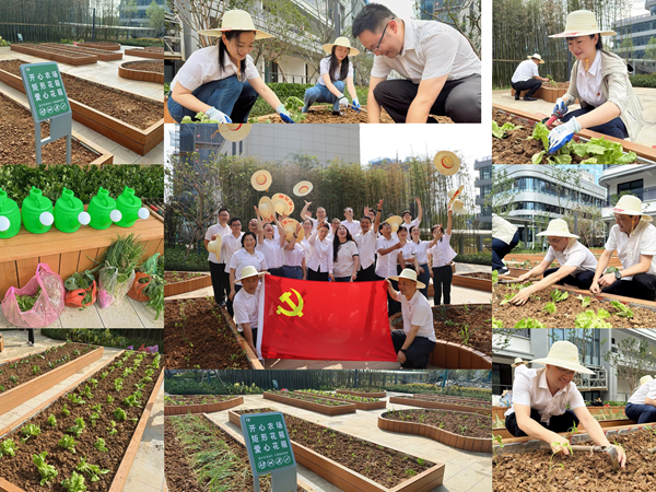 六安公司党总支开展“躬耕实践强党性，，，，，携手共建新田园”主题党日活动