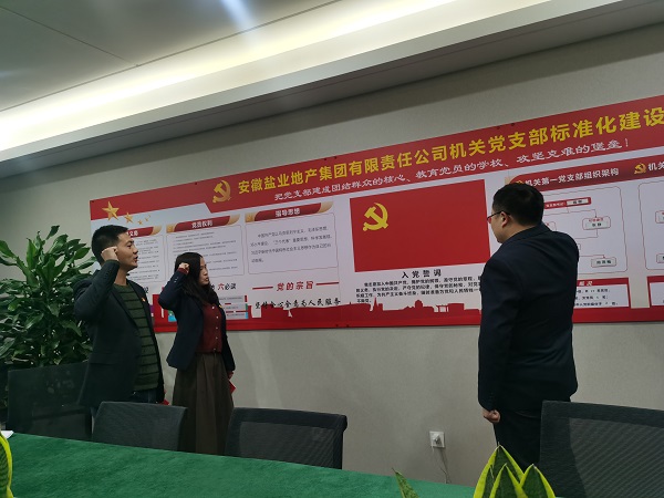 安徽俄罗斯专享会294地产集团机关第一党支部开展“佩党徽、诵誓词、赠党章、上党课”党员教育活动