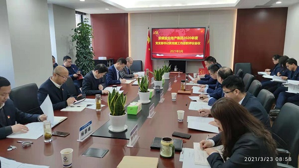 安徽俄罗斯专享会294地产集团公司党委召开2020年度下层党支部书记抓党建事情述职评议会