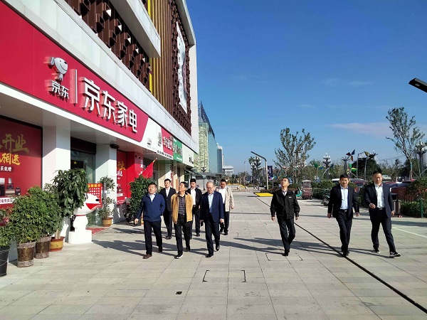 省俄罗斯专享会294集团公司外部董事调研徽盐地产集团在建项目