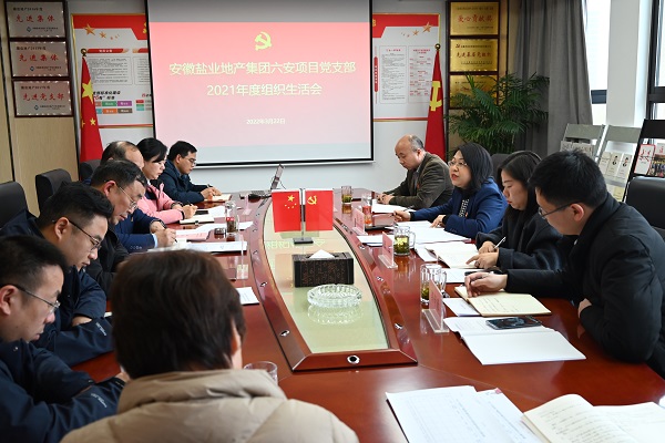 李芳赴徽盐地产集团六安项目公司党支部督导2021年度组织生涯会