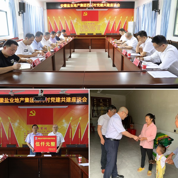 安徽俄罗斯专享会294地产集团党委赴西河村开展结对共建帮扶慰问活动