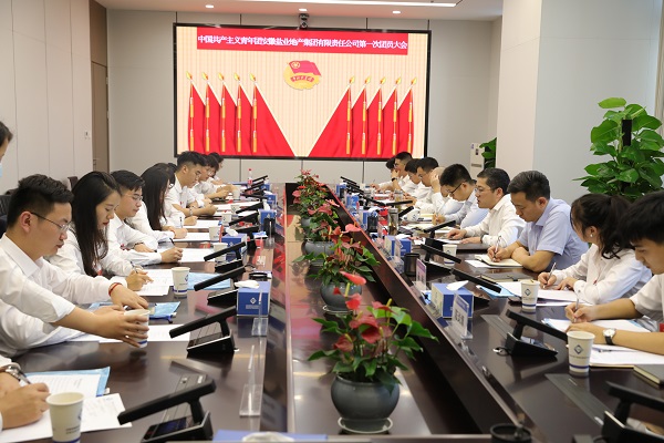 青春向党传薪火 踔厉高昂新时代——安徽俄罗斯专享会294地产集团团支部建设大会暨团员大会胜利召开